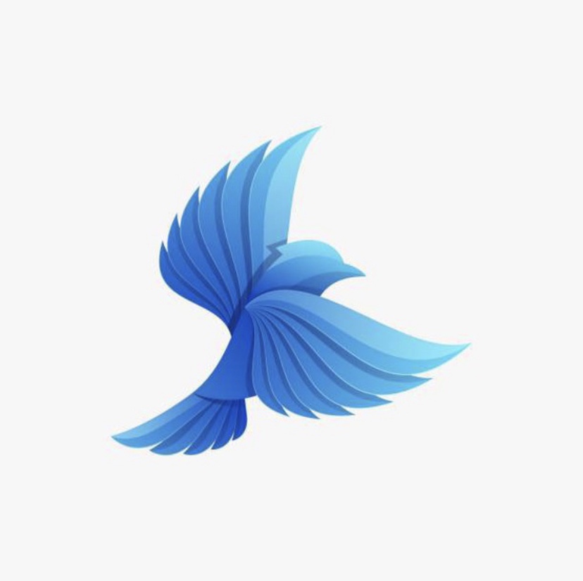 주간 퀀트 및 전략 아이디어_220522 by Jay