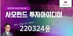 사모펀드 투자아이디어 220324용