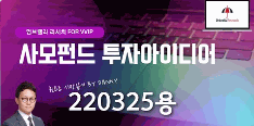사모펀드 투자아이디어 220325용